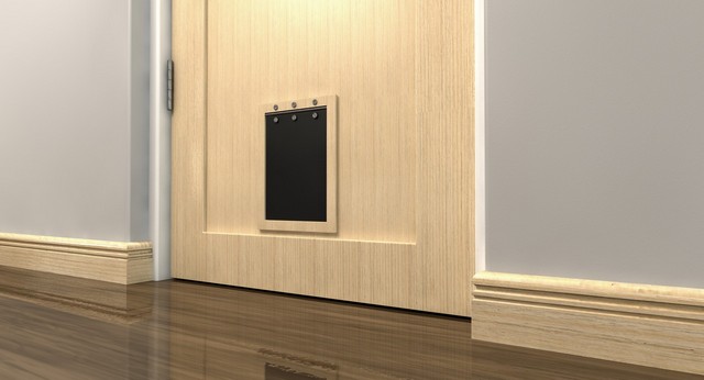 Cat Flap Installation Finsbury Park, Manor House, N4