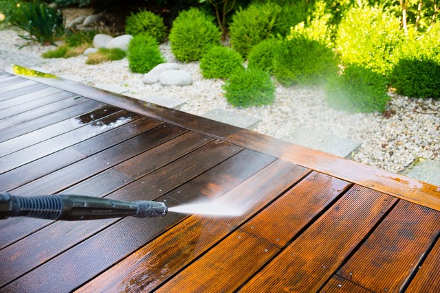 Garden Clearance Finsbury Park, Manor House, N4