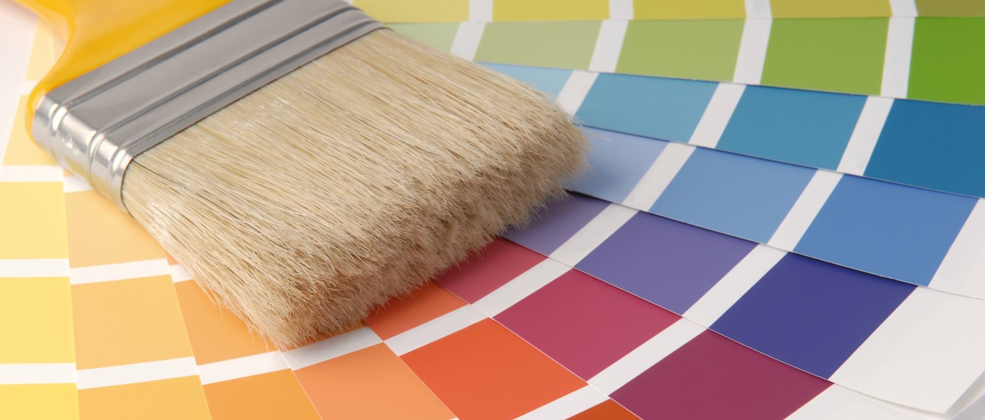 Painter N4